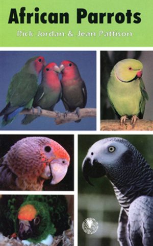 African Parrots