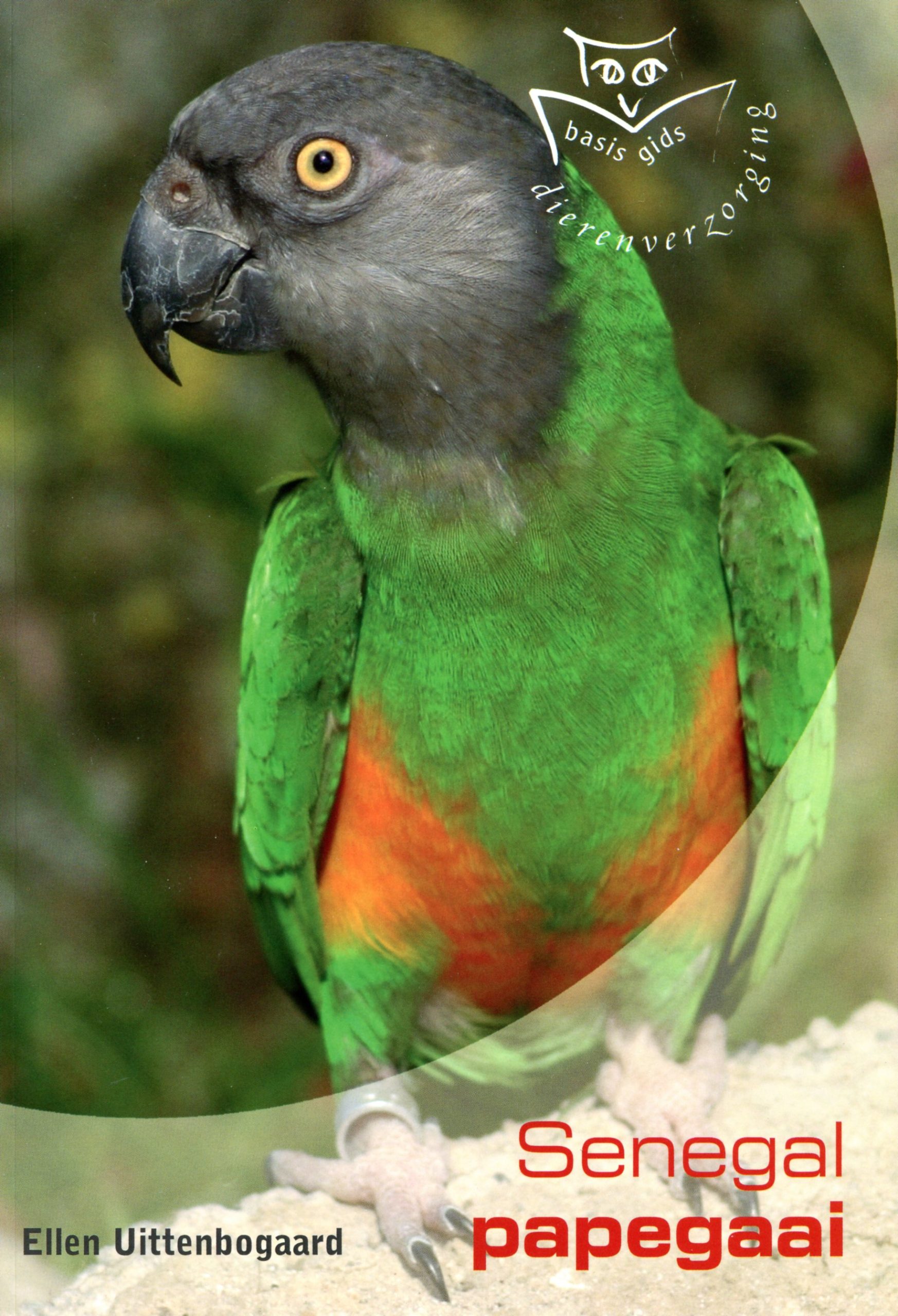 Senegal Papegaai
