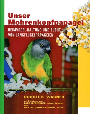 Unser Mohrenkopfpapagei