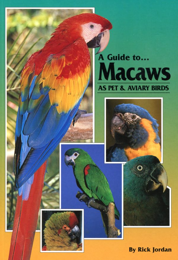 A Guide to Macaws