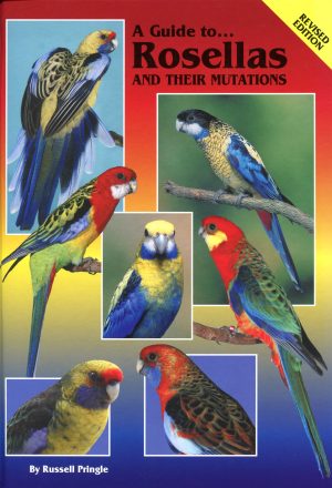 A Guide to Rosellas and their mutations