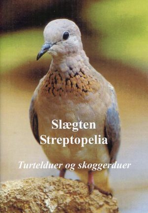 Slægten streptopelia