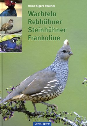 Wachteln, Rebhühner, Steinhühner, Frankoline