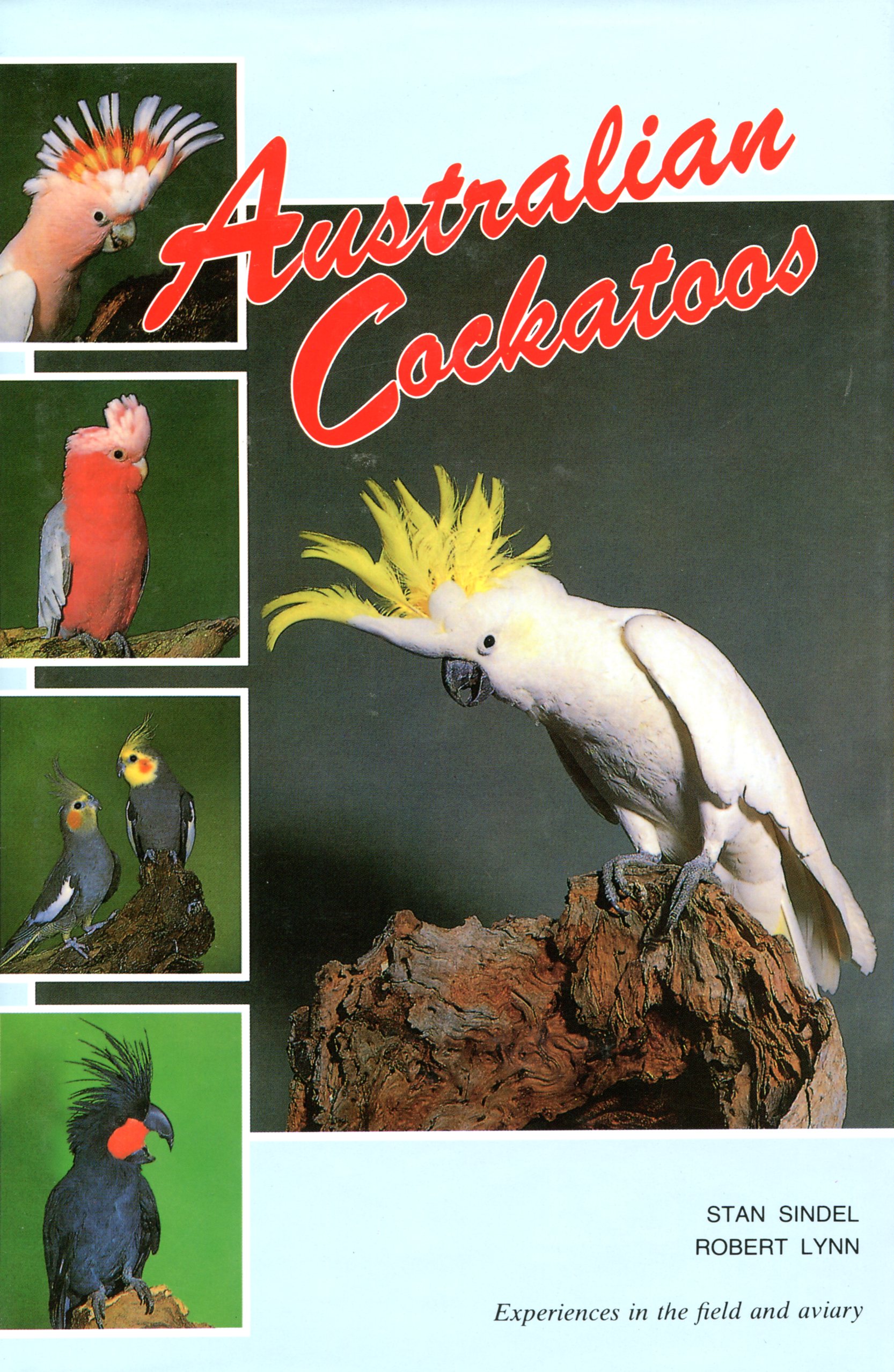 Australian Cockatoos