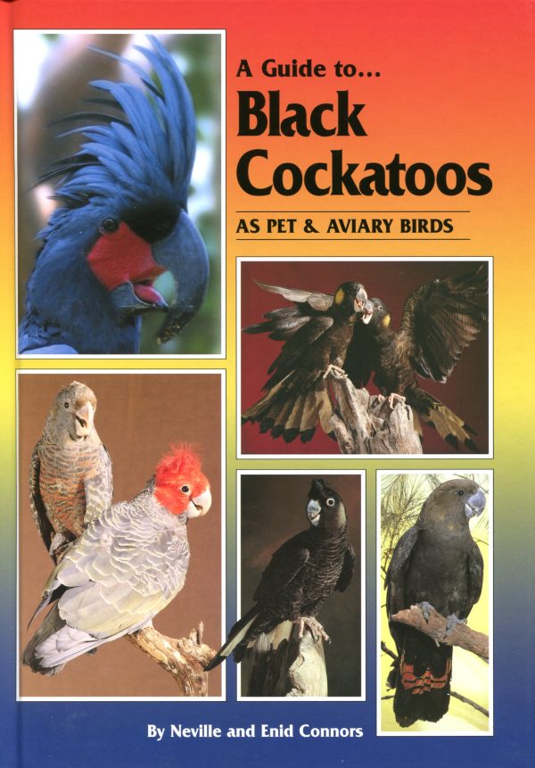 A Guide to Australian Black Cockatoos