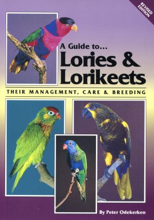A Guide to Lories & Lorikeets