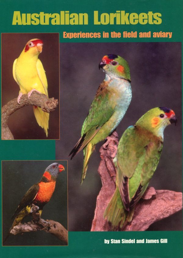 Australian Lorikeets