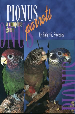 Pionus Parrots: A Complete Guide