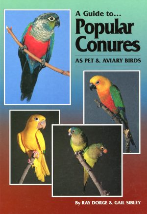 A guide to Popular Conures