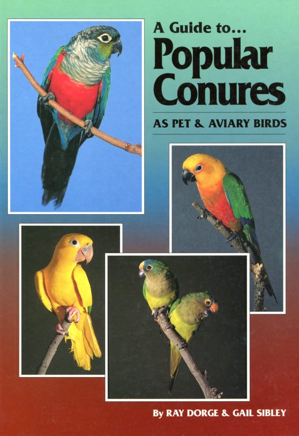 A guide to Popular Conures