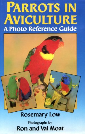 Parrots in Avicuture