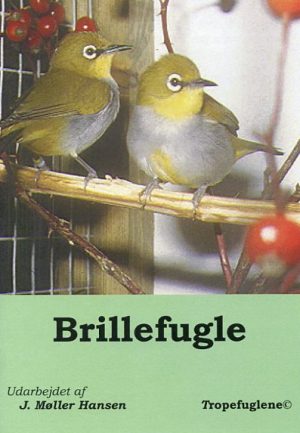 Brillefugle