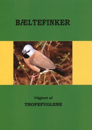 Bæltefinker