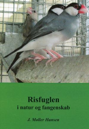 Risfuglen, i natur og fangenskab