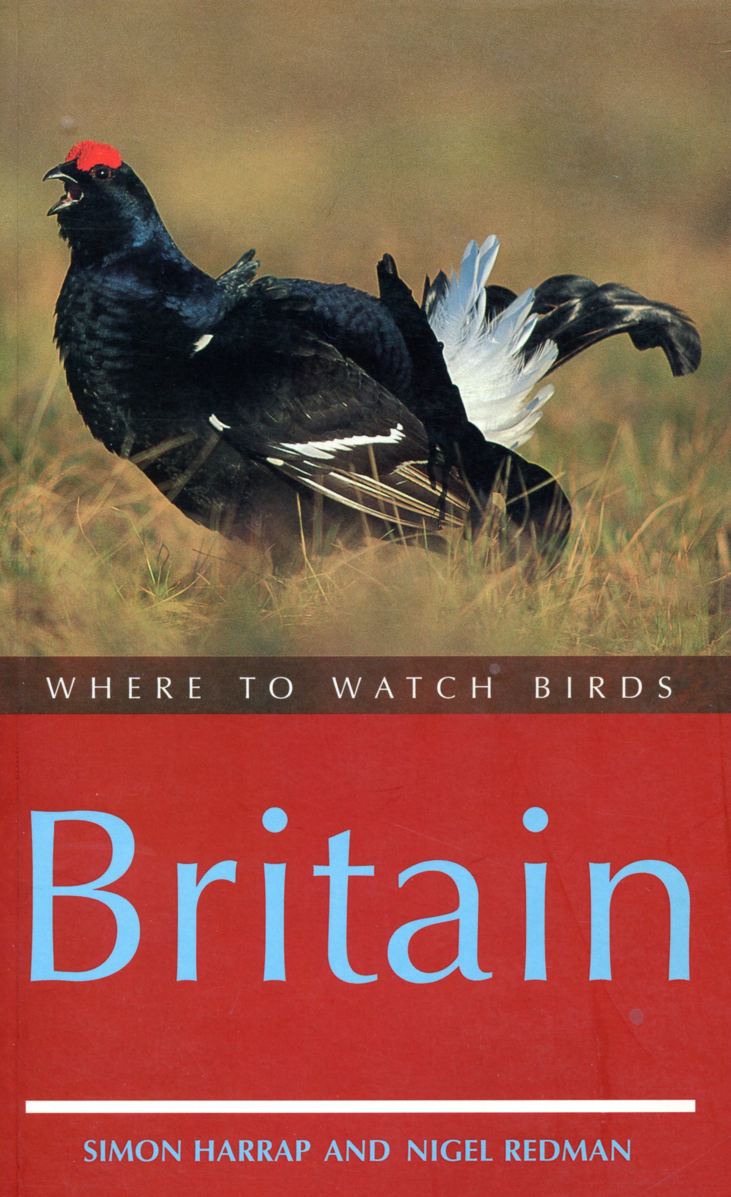 Where to watch birds Britain