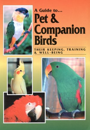 A Guide to Pet & Companion Birds