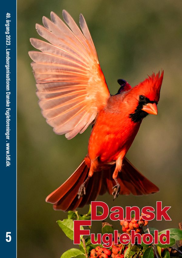 Dansk Fuglehold 2025