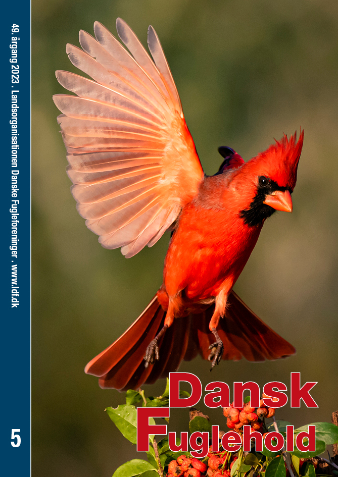 Dansk Fuglehold 2024